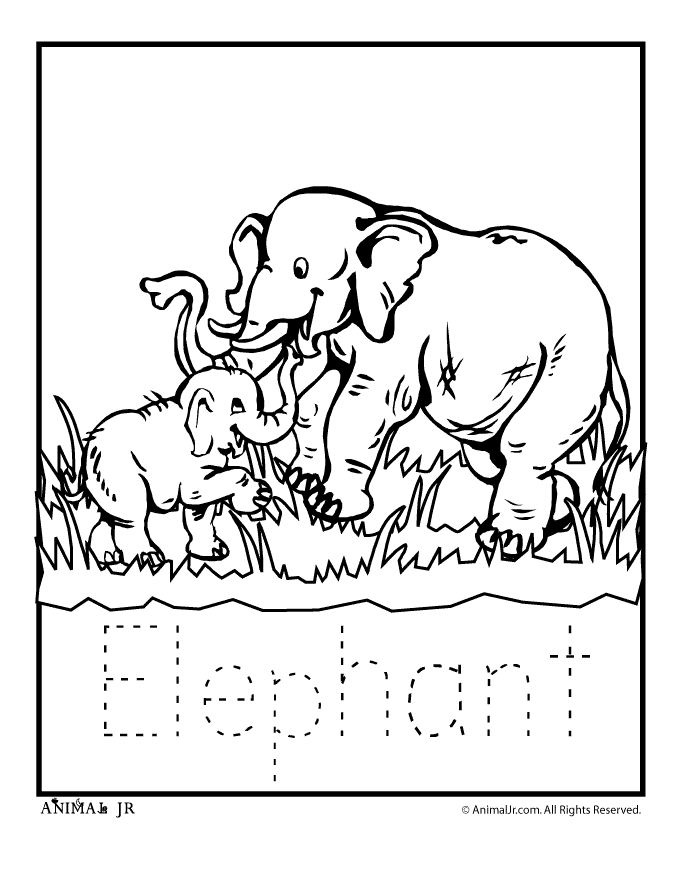 zoo animal coloring pictures free printable zoo coloring pages for kids coloring animal pictures zoo 