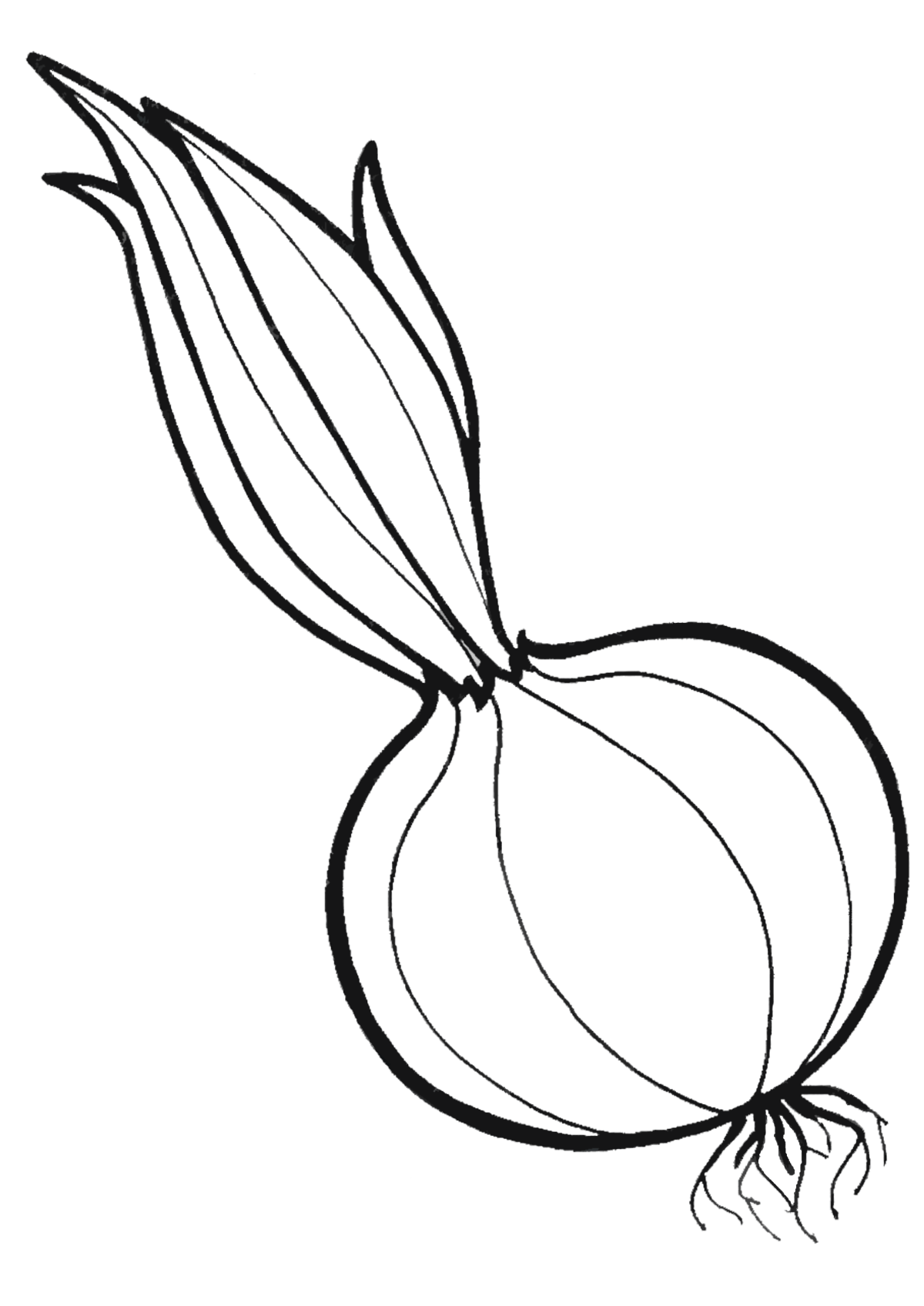 pictures of apples to print cucumber coloring pages to download and print for free pictures apples of to print