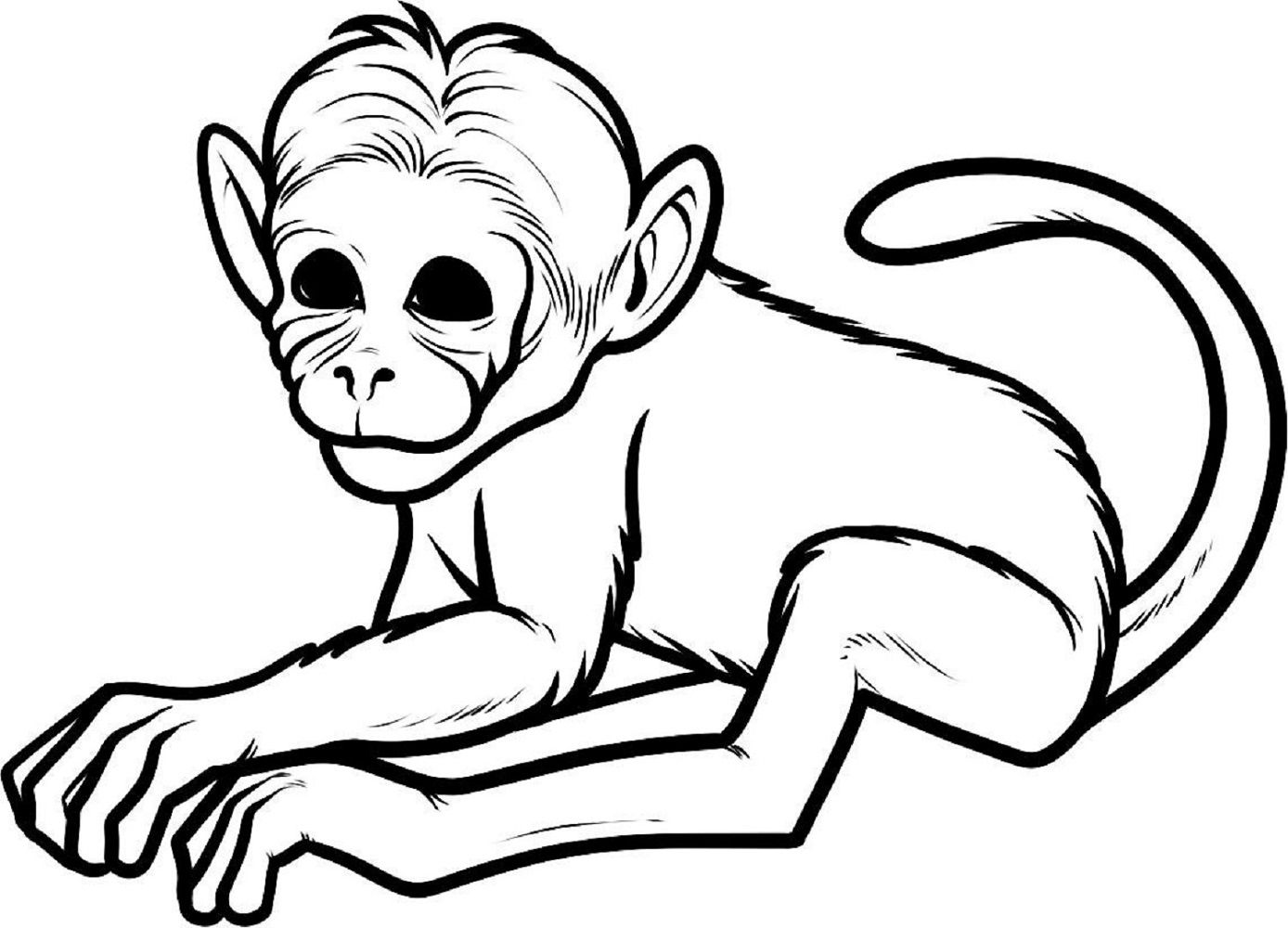 pictures of monkeys to color coloring pages of cute baby monkeys at getcoloringscom to color pictures monkeys of