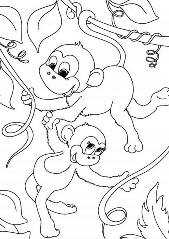 pictures of monkeys to color realistic monkey coloring pages  coloring home pictures to of monkeys color